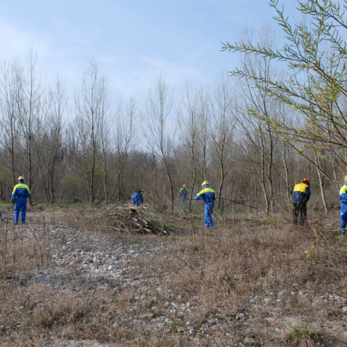 Intervento alveo Torre nelle vicinanze dell'abitato di Salt n. 12 / 78686