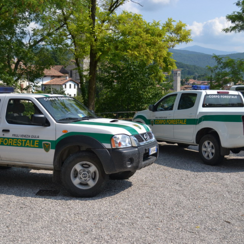 Dimostrazione AIB Cividale del Friuli n. 12 / 110205