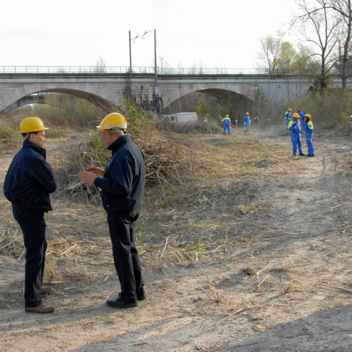 Alvei Puliti 2012 n. 9 / 78210