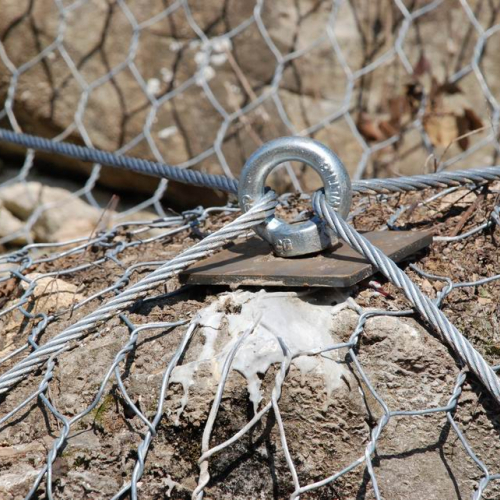 foto OPI CD2/352.191 11 / 35395