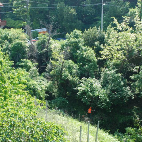 Foto Consegna lavori OPI CD2/352.196 15 / 39155