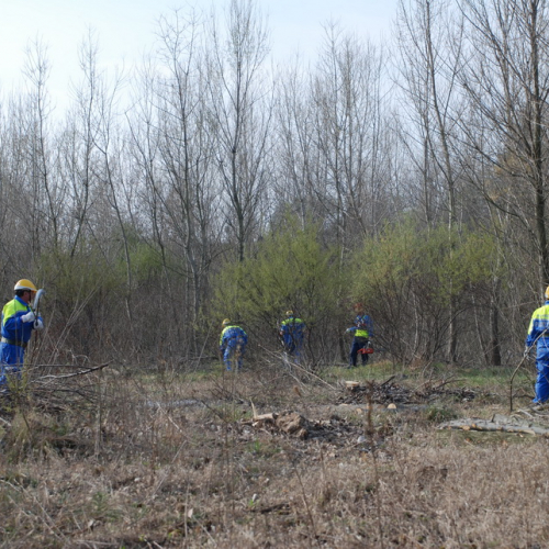 Intervento alveo Torre nelle vicinanze dell'abitato di Salt n. 13 / 78687