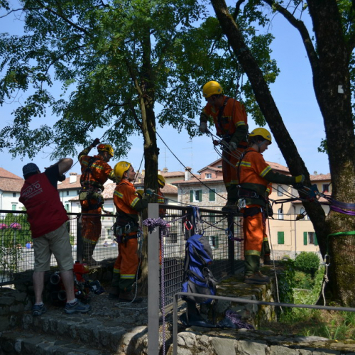 Dimostrazione AIB Cividale del Friuli n. 13 / 110206