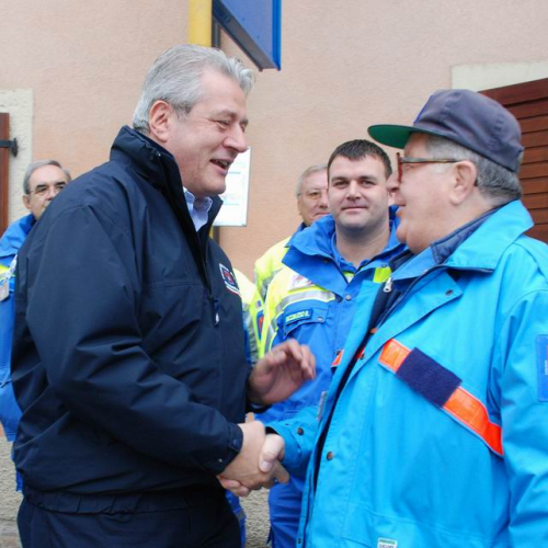 Foglia d'oro 9 / 32154