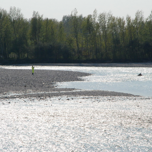 Esercitazione 118 e CNSAS 26/09/09 n. 11 / 43172