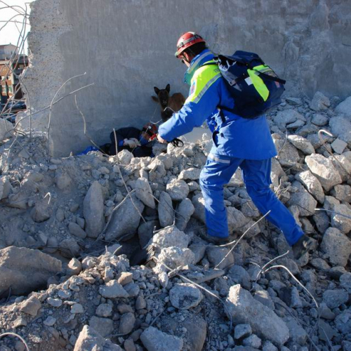 foto esercitazione 9 / 33979