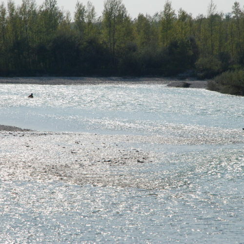 Esercitazione 118 e CNSAS 26/09/09 n. 12 / 43173