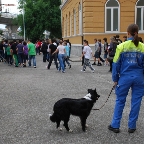 Prova evacuazione scuola Italo Svevo 04/06 n. 12 / 52954