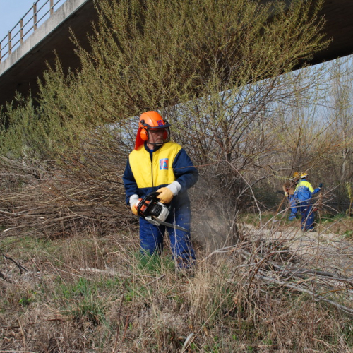 Intervento alveo Torre nelle vicinanze dell'abitato di Salt n. 15 / 78689