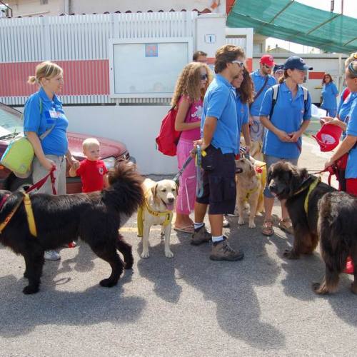Grado Air Show 2007 8 / 15740