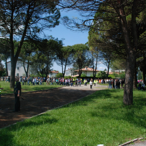 Prova di evacuazione al Malignani n. 15 / 80503