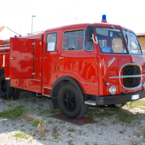 2™ edizione Olimpiadi protezione civile n. 7 / 96365