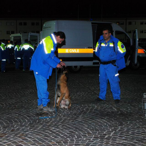 Abruzzo 07/04/09 n. 3 / 37251