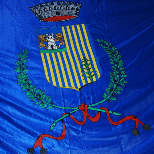 Consegna Automezzo Gruppo Pc Torviscosa n. 9 / 88243