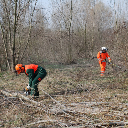 Intervento alveo Torre nelle vicinanze dell'abitato di Salt n. 17 / 78691