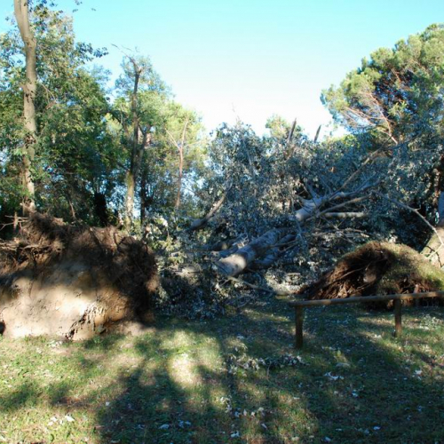 Aquileia - Campeggio Belvedere 15 / 28243
