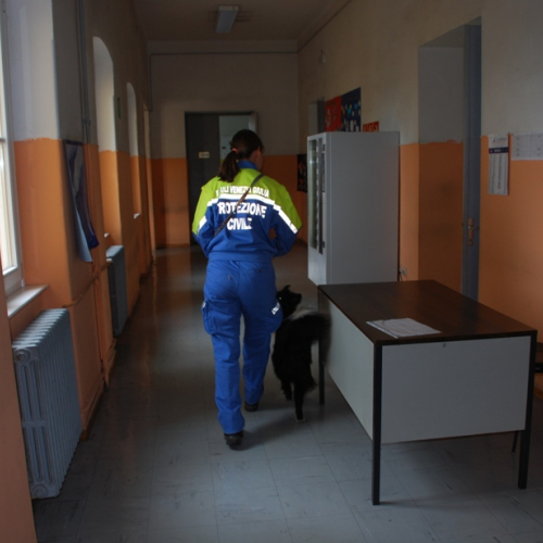 Prova evacuazione scuola Italo Svevo 04/06 n. 15 / 52957