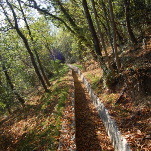 Piedimonte 05 / 5998