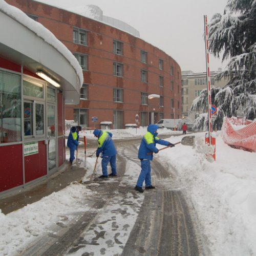 Milano 07/01/09 n. 21 / 33868