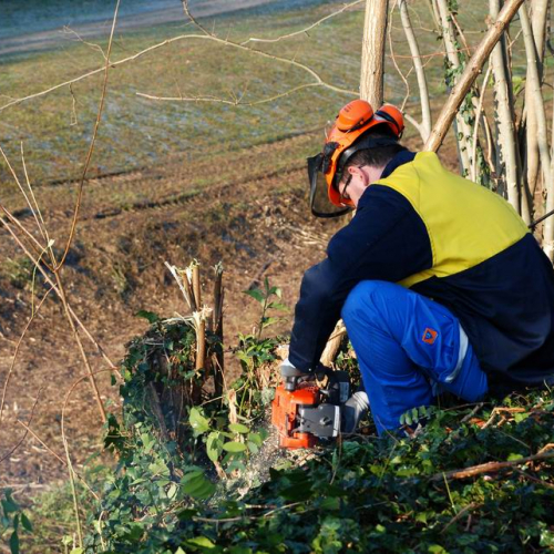 Esercitazione 19/11 n. 7 / 72881