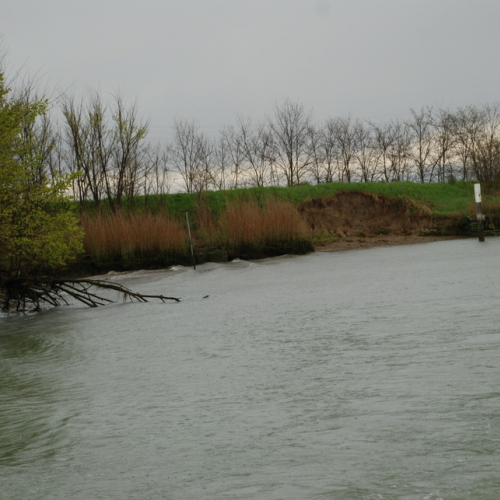 Sopralluogo Assessore del 24/03/14 n. 8 / 105628