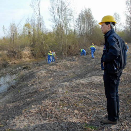 Alvei Puliti 2012 n. 16 / 78217