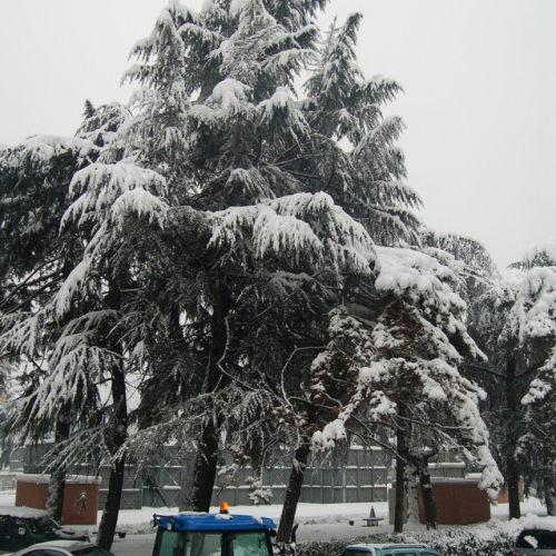 Milano 07/01/09 n. 22 / 33869