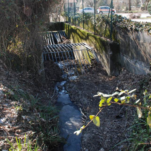 Foto OPI CD2/563.007 n. 4 / 35346