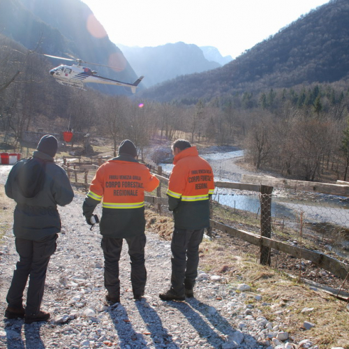 Intervento antincendio del 21/03 n. 15 / 36248