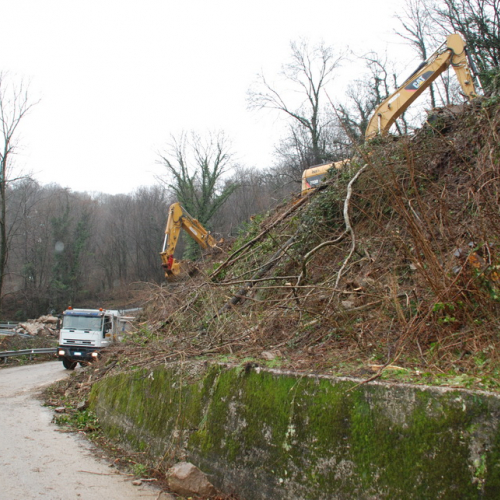 Sopralluogo Assessore a Torreano n. 11 / 104608