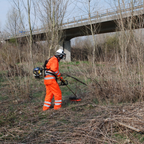 Intervento alveo Torre nelle vicinanze dell'abitato di Salt n. 18 / 78692