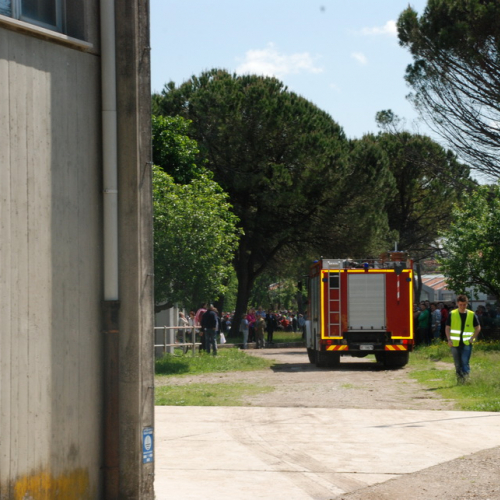 Prova di evacuazione al Malignani n. 17 / 80505