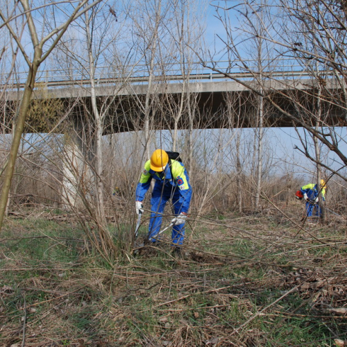 Intervento alveo Torre nelle vicinanze dell'abitato di Salt n. 19 / 78693