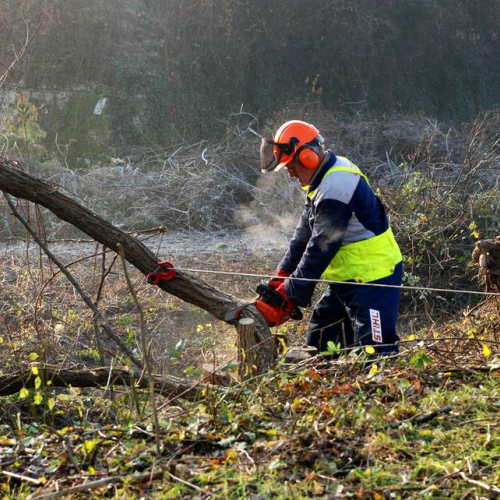 Esercitazione 20/11 n. 1 4 / 73044