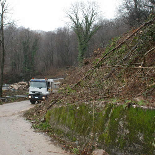 Sopralluogo Assessore a Torreano n. 13 / 104610