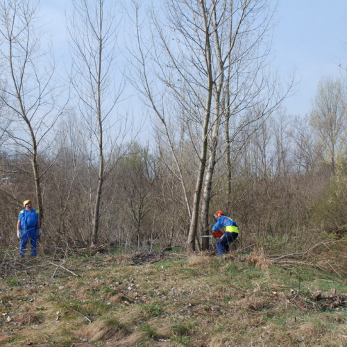 Intervento alveo Torre nelle vicinanze dell'abitato di Salt n. 21 / 78695