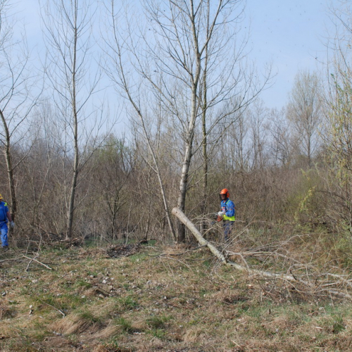 Intervento alveo Torre nelle vicinanze dell'abitato di Salt n. 22 / 78696