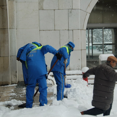 Milano 07/01/09 n. 31 / 33878