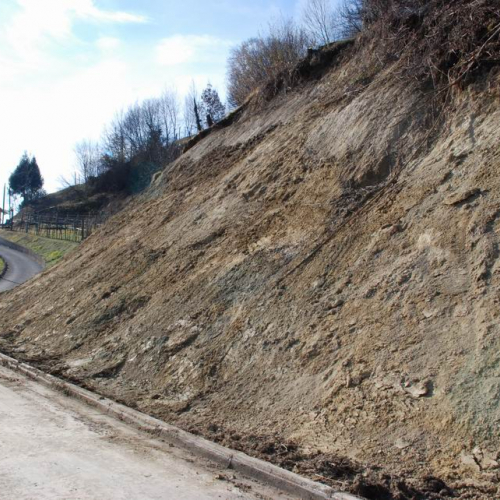 foto OPI 653 3 / 35381