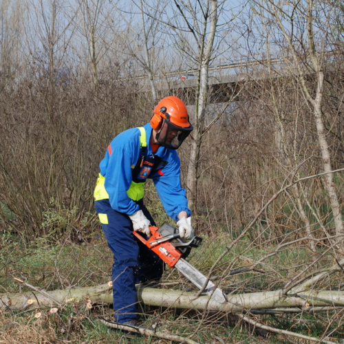 Intervento alveo Torre nelle vicinanze dell'abitato di Salt n. 23 / 78697