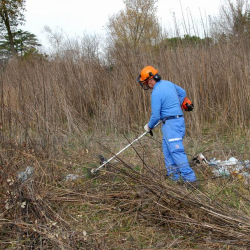 Alvei Puliti 2012 n. 17 / 78218