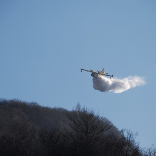 Intervento antincendio del 21/03 n. 19 / 36252