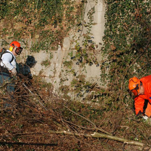 Esercitazione 19/11 n. 10 / 72884