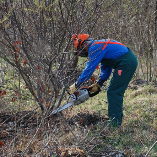 Intervento alveo Torre nelle vicinanze dell'abitato di Salt n. 24 / 78698