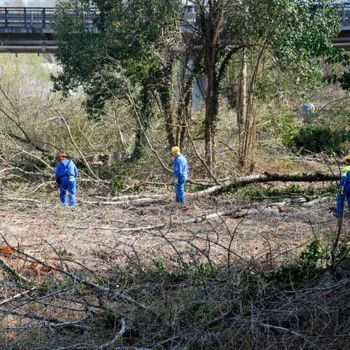 Intervento Fiume Isonzo nei pressi del Ponte di Sagrado n. 12 / 78624