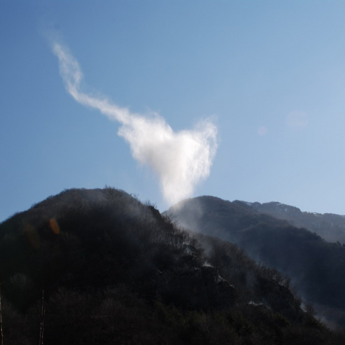 Intervento antincendio del 21/03 n. 21 / 36254