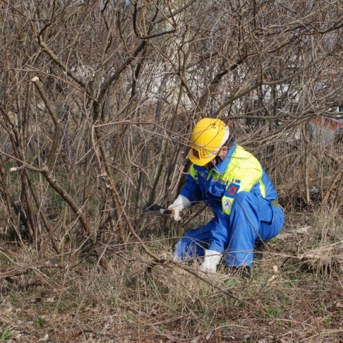 Intervento alveo Torre nelle vicinanze dell'abitato di Salt n. 26 / 78700