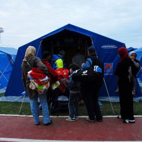 Alloggiamento popolazione n. 6 / 81402