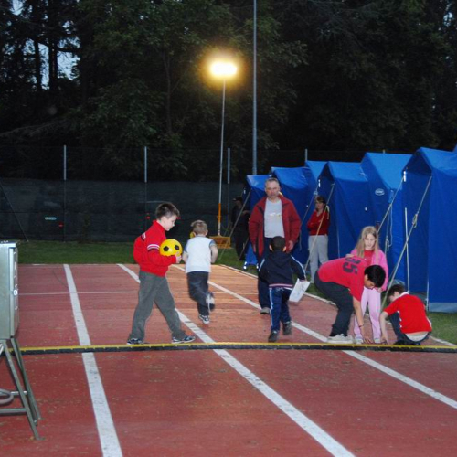 Alloggiamento popolazione n. 7 / 81403