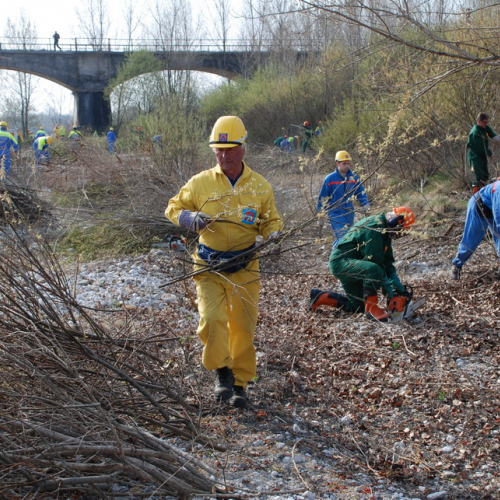 Intervento alveo Torre nelle vicinanze dell'abitato di Salt n. 27 / 78701